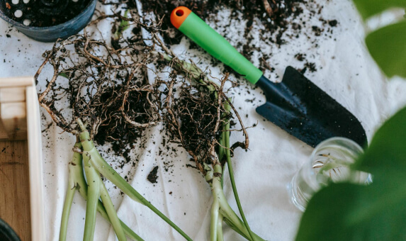 our-mission Our Mission